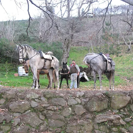 La Del Recovero Pensión 3*