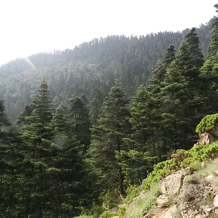 Affittacamere La Del Recovero Genalguacil