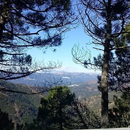 Guest house La Del Recovero 3*
